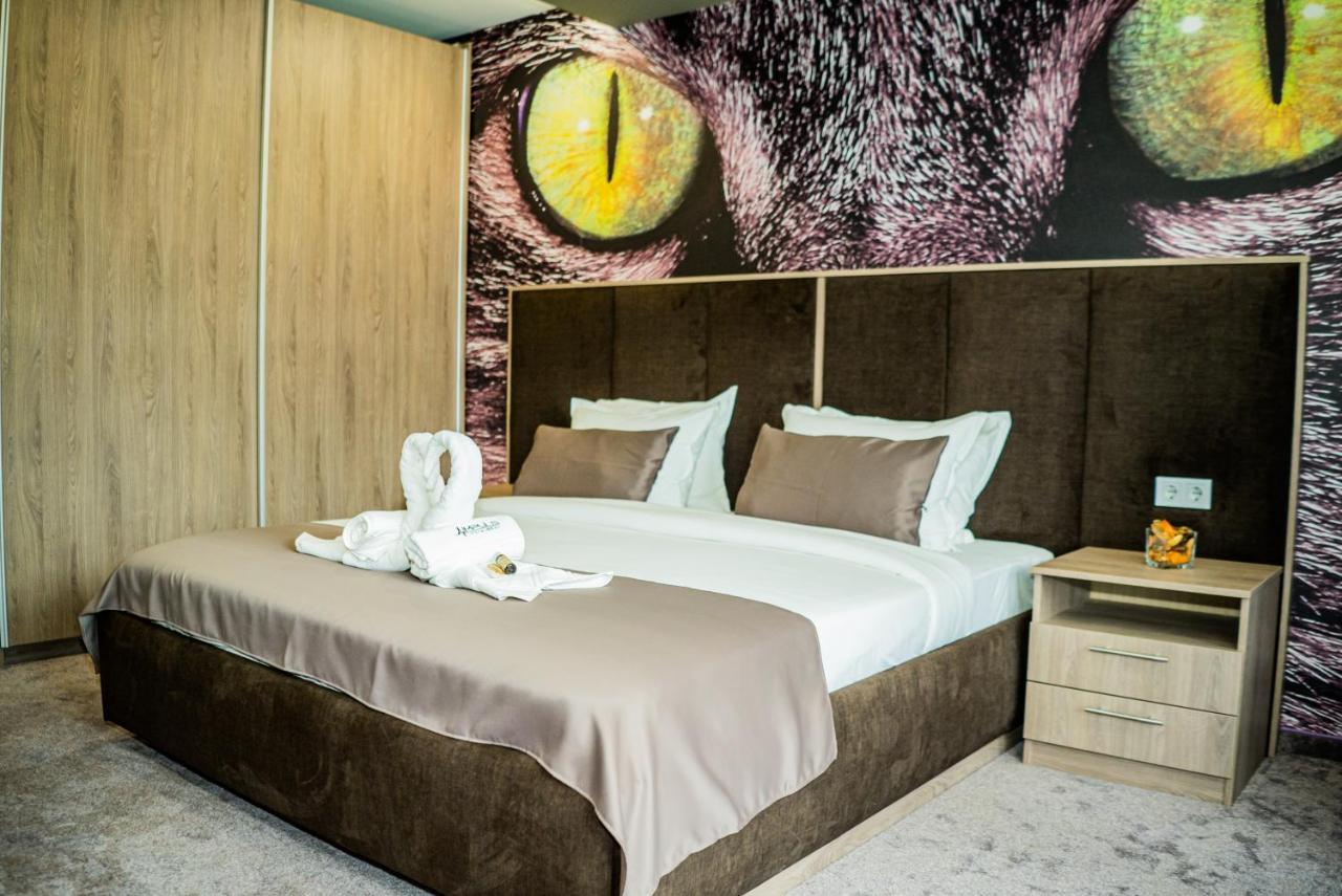 ווידין Impuls Hotel מראה חיצוני תמונה