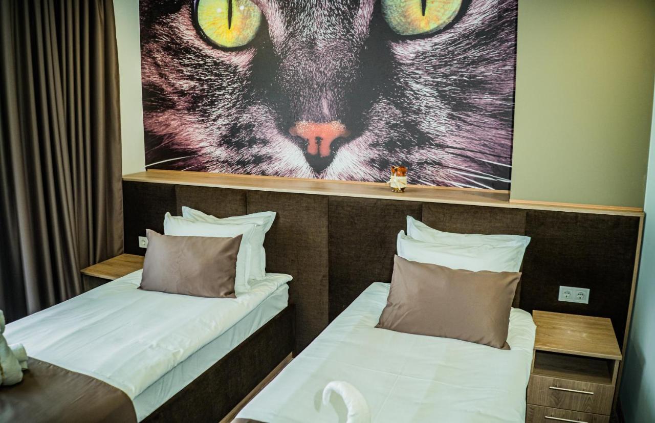 ווידין Impuls Hotel מראה חיצוני תמונה