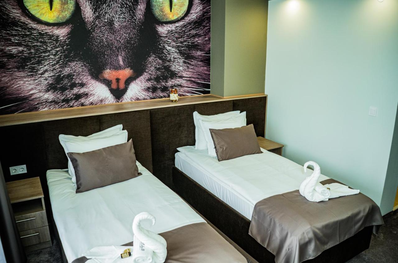 ווידין Impuls Hotel מראה חיצוני תמונה