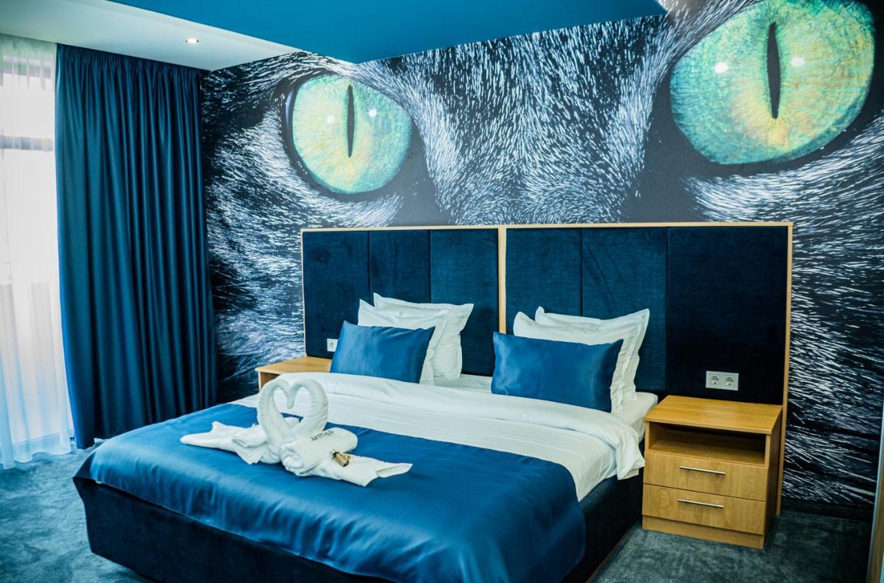 ווידין Impuls Hotel מראה חיצוני תמונה